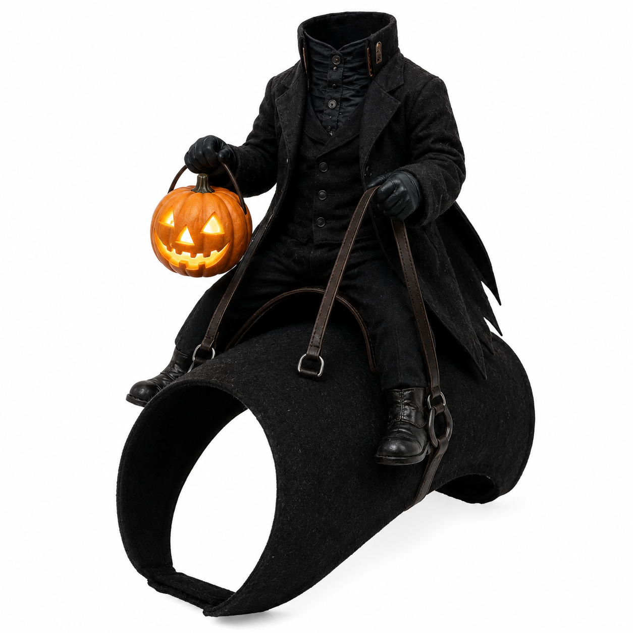 ⏳ Last Day 49% OFF – 😂Funny Pet Rider Costume Collection